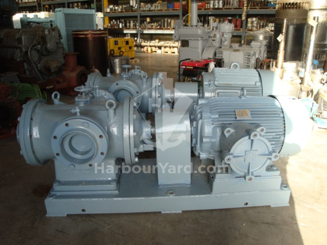 ANSALDO Water Pumps (2 items)